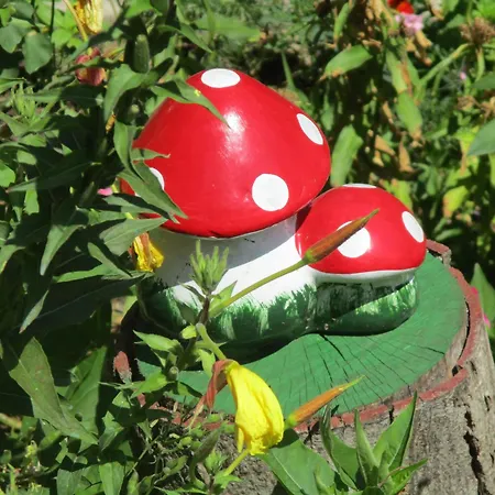 Habitación en casa particular Casa Din Vama