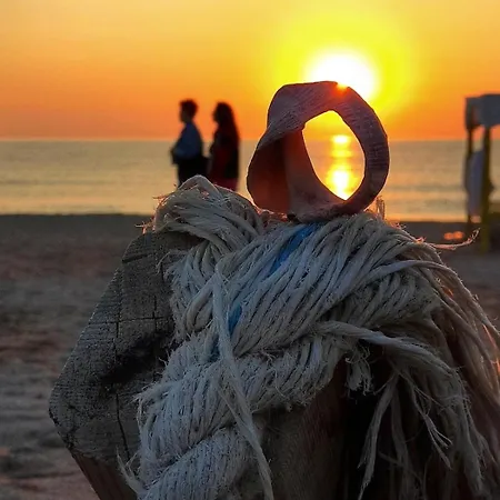 Habitación en casa particular Casa Din Vama *