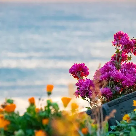 Casa Din Vama Habitación en casa particular *