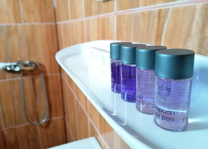 Casa Din Vama Homestay